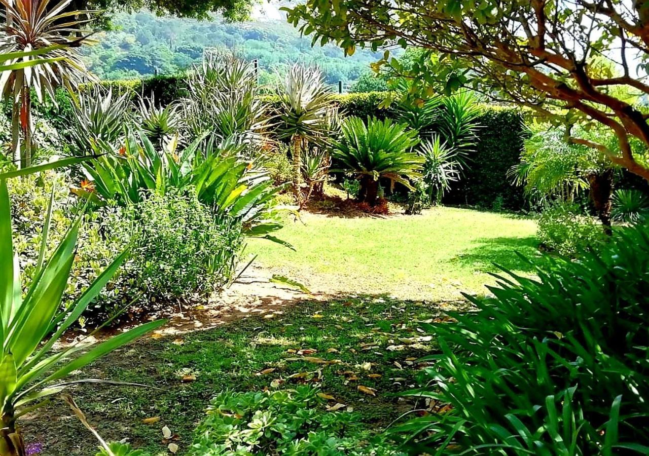 De Wingerd Wijnland Lodge Paarl Ngoại thất bức ảnh