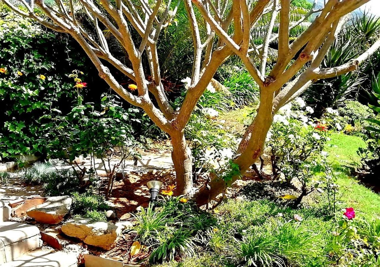 De Wingerd Wijnland Lodge Paarl Ngoại thất bức ảnh